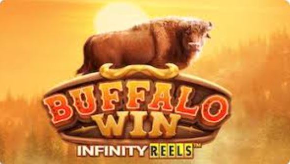 Bandar Slot Game Buffalo Win Mudah Menang Hanya di XOTOGEL